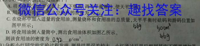 2023年九师联盟高三年级4月质量检测（L）q物理