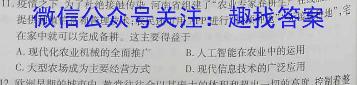 文博志鸿 2023年河北省初中毕业生升学文化课模拟考试(导向一)历史