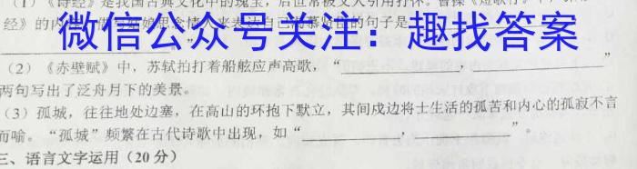延边州2023年高三教学质量检测语文