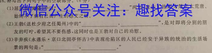 安徽省2022-2023学年九年级下学期期中教学质量调研语文