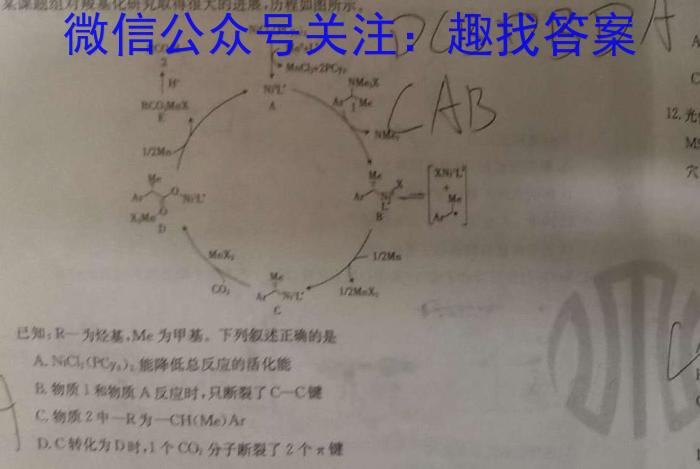 2023届柳州高中/南宁三中高三(4月)联考化学