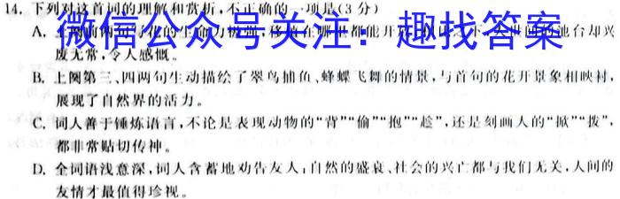 2022-2023学年安徽省九年级下学期阶段性质量监测（七）语文