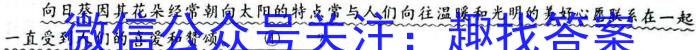 衡水金卷先享题压轴卷2023答案 新教材XA二语文