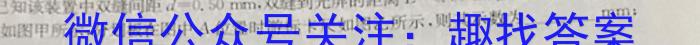贵州省2023届贵阳一中高考适应性月考(七)(白黑白白黑白黑)q物理