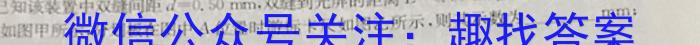 皖智教育·省城名校2023年中考最后三模（一）物理`