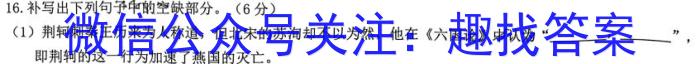 安徽省滁州市明光市2023年九年级第一次模拟考试语文