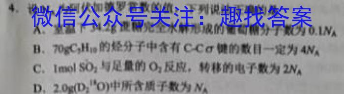 文博志鸿 2023年河北省初中毕业生升学文化课模拟考试(导向一)化学