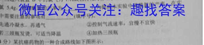 江西省2023届九年级第六次阶段适应性评估PGZXAJX化学