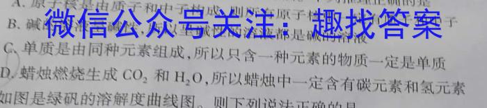 皖智教育 安徽第一卷·2023年八年级学业水平考试信息交流试卷(二)化学