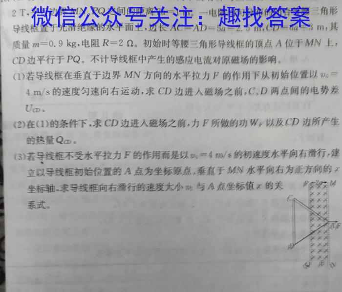 2023年普通高等学校招生伯乐马模拟考试(六)物理`