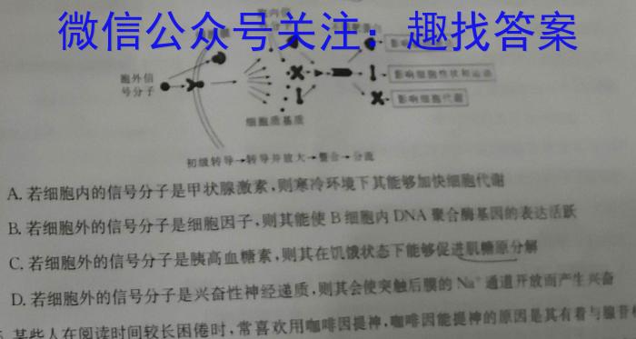 木牍&老庄大联考2023年4月安徽中考名校信息联考卷生物