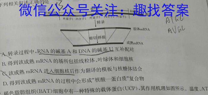 2023年河南六市高三年级4月联考生物
