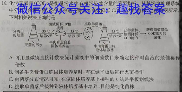 江西省乐平市2022-2023学年度九年级下学期期中学业评价生物试卷答案