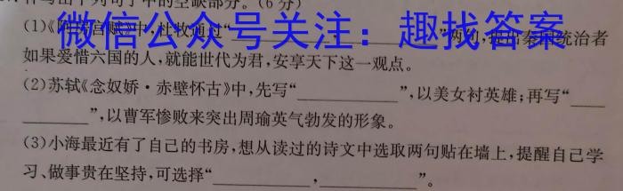 2023年陕西省初中学业水平考试A语文