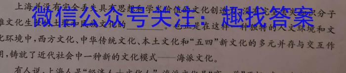 天一大联考 2023年普通高等学校招生全国统一考试诊断卷(A卷)语文