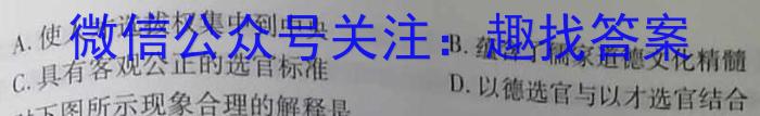 河南省2023年新野县九年级第一次模拟考试（23-CZ123c）历史