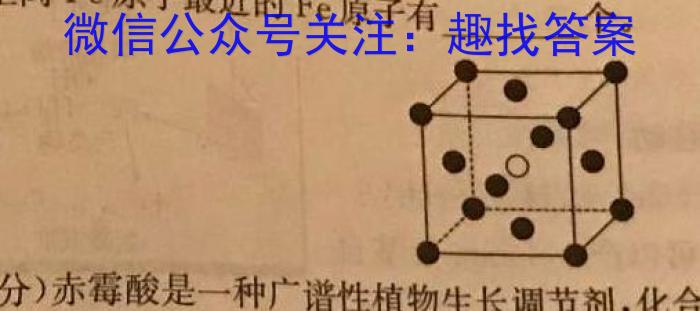 安徽省蒙城县2023年初中毕业学业考试模拟试卷化学