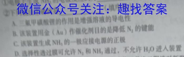 2023年普通高等学校招生统一考试 新S3·临门押题卷(二)化学