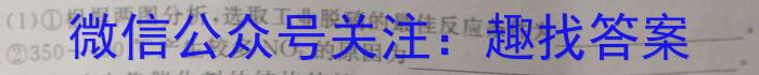 2023年陕西省初中学业水平考试·全真模拟（六）化学