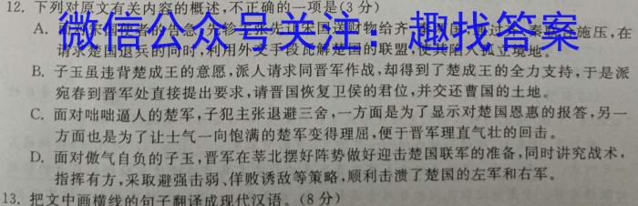 佩佩教育·2023年普通高校统一招生考试 湖南四大名校名师团队猜题卷语文