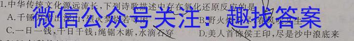 2023年安徽省初中毕业学业考试模拟仿真试卷（六）化学