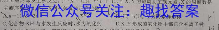 河南省洛阳市2023年义务教育质量监测（八年级）化学