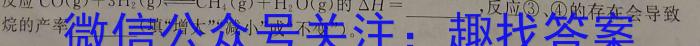 快乐考生 2023届双考信息卷·第七辑 一模精选卷 考向卷(三)化学