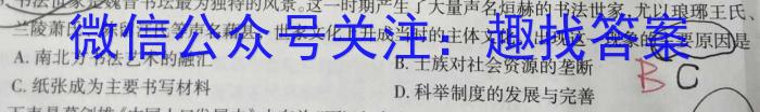 湖北省2024-2023学年度下学期期中新洲区部分学校高中二目标检测历史