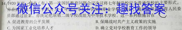 2023年商洛市第二次高考模拟检测试卷(23-390C)历史