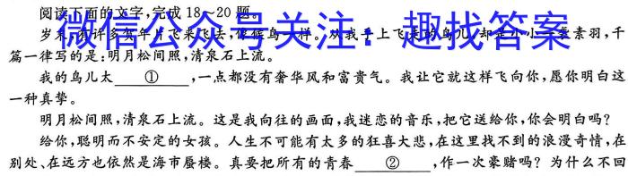 九师联盟 2022-2023学年高三5月高考仿真模拟(X/L)语文