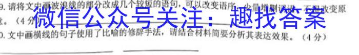 师大名师金卷2023年陕西省初中学业水平考试（四）语文