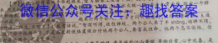 文博志鸿 2023年河北省初中毕业生升学文化课模拟考试(导向二)语文