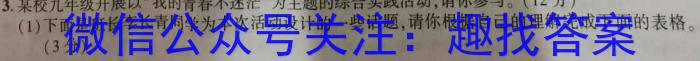 2023届衡水金卷先享题压轴卷(二)广东专版语文