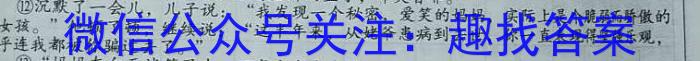 华普教育 2023全国名校高考模拟冲刺卷(一)语文