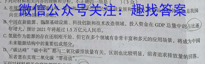 2023衡水金卷先享题压轴卷答案 新高考A一语文