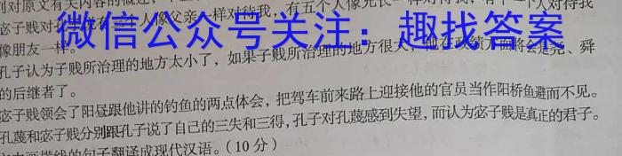 江淮教育联盟2023年春季九年级第二次联考语文