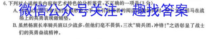 宜春市2023学年九年级第一次模拟考试语文