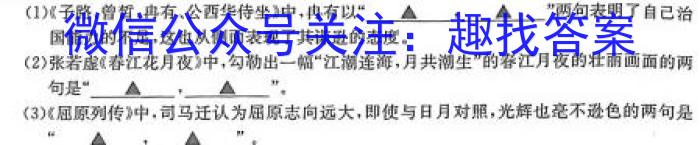 2023年普通高中学业水平选择性考试 23·(新高考)高考样卷(一)·FJ语文