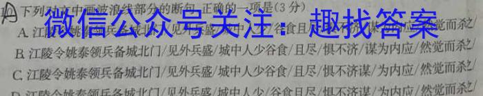 皖智教育·省城名校2023年中考最后三模（二）语文