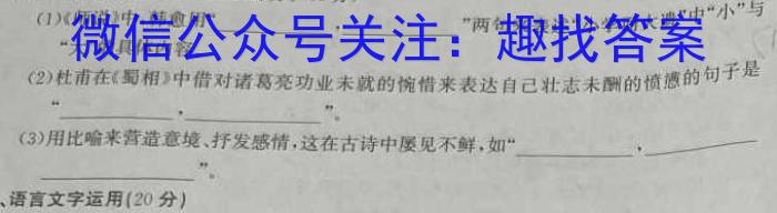 2023年普通高等学校招生全国统一考试 23·高考样卷一-N语文