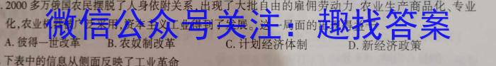 2023届衡中同卷押题卷 湖南专版(一)二三历史