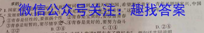 皖智教育 安徽第一卷·百校联盟2023届中考大联考s地理