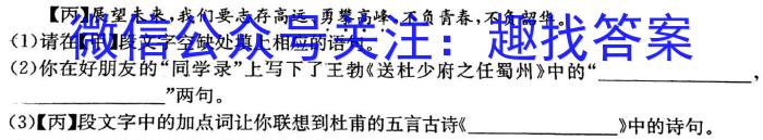 文博志鸿 2023年河南省普通高中招生考试模拟试卷(预测二)语文