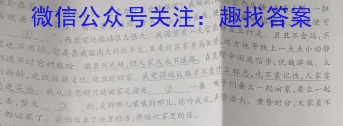 2023年“云教金榜”N+1联考·冲刺测试语文
