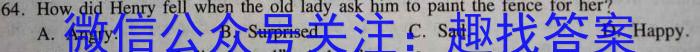 学林教育 2023年陕西省初中学业水平考试·全真模拟卷(五)英语