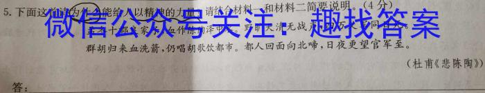 炎德英才大联考 长沙市一中2023届模拟试卷(一)语文