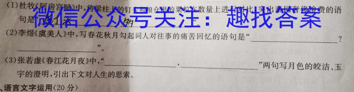 全国名校大联考2022~2023高三第八次联考试卷语文