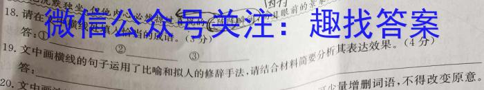 群力考卷·压轴卷·2023届高三第四次语文