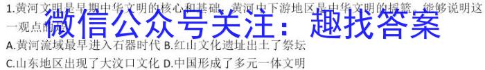 安宁河联盟2022-2023学年度下学期高中2022级期中联考历史试卷