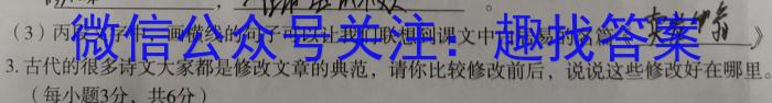 2023年普通高等学校全国统一模拟招生考试 高三新未来4月联考语文